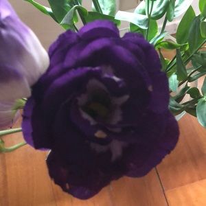 Meet your Posher, Lois